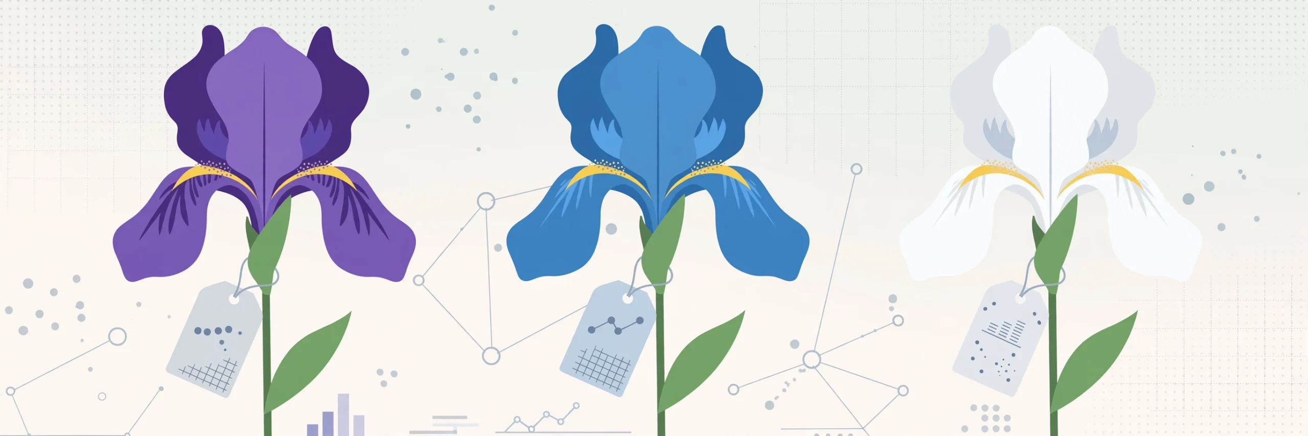 Iris Dataset 에 대하여